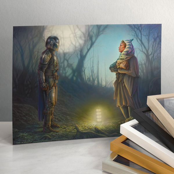 The MandalorianTM - Connection