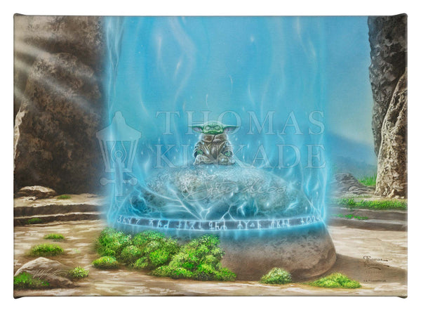 The Mandalorian™ -  A Force Within