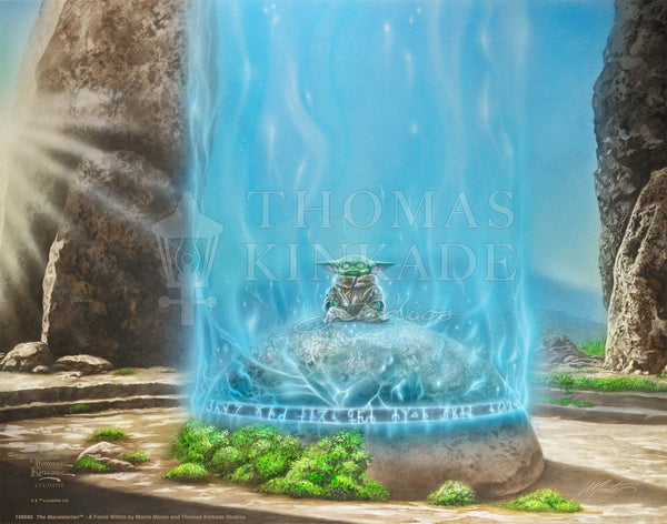 The Mandalorian™ -  A Force Within