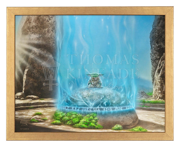 The Mandalorian™ -  A Force Within