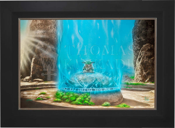 The Mandalorian™ -  A Force Within