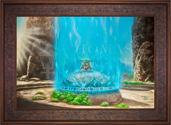 The Mandalorian™ -  A Force Within