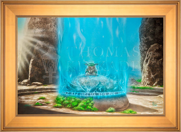 The Mandalorian™ -  A Force Within