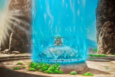 The Mandalorian™ -  A Force Within