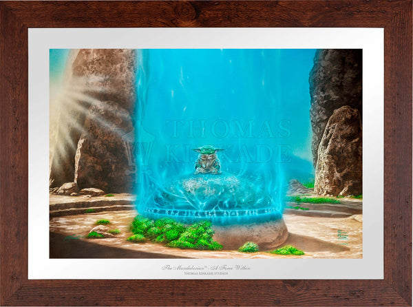 The Mandalorian™ -  A Force Within