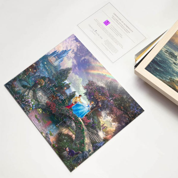 Cinderella Wishes Upon a Dream